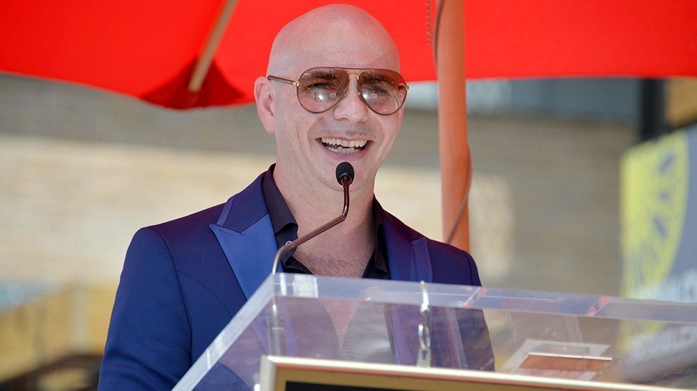 Pitbull Income Sources